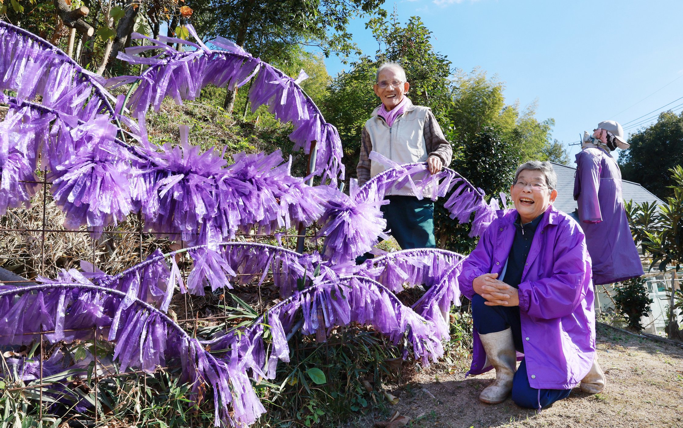 紫の畑」サンフレッチェ社長がサプライズ訪問 広島市安佐南区の農家