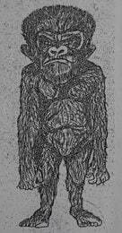 ヒバゴン騒動 謎の類人猿 日本中が注目（２０１８年２月２３日掲載