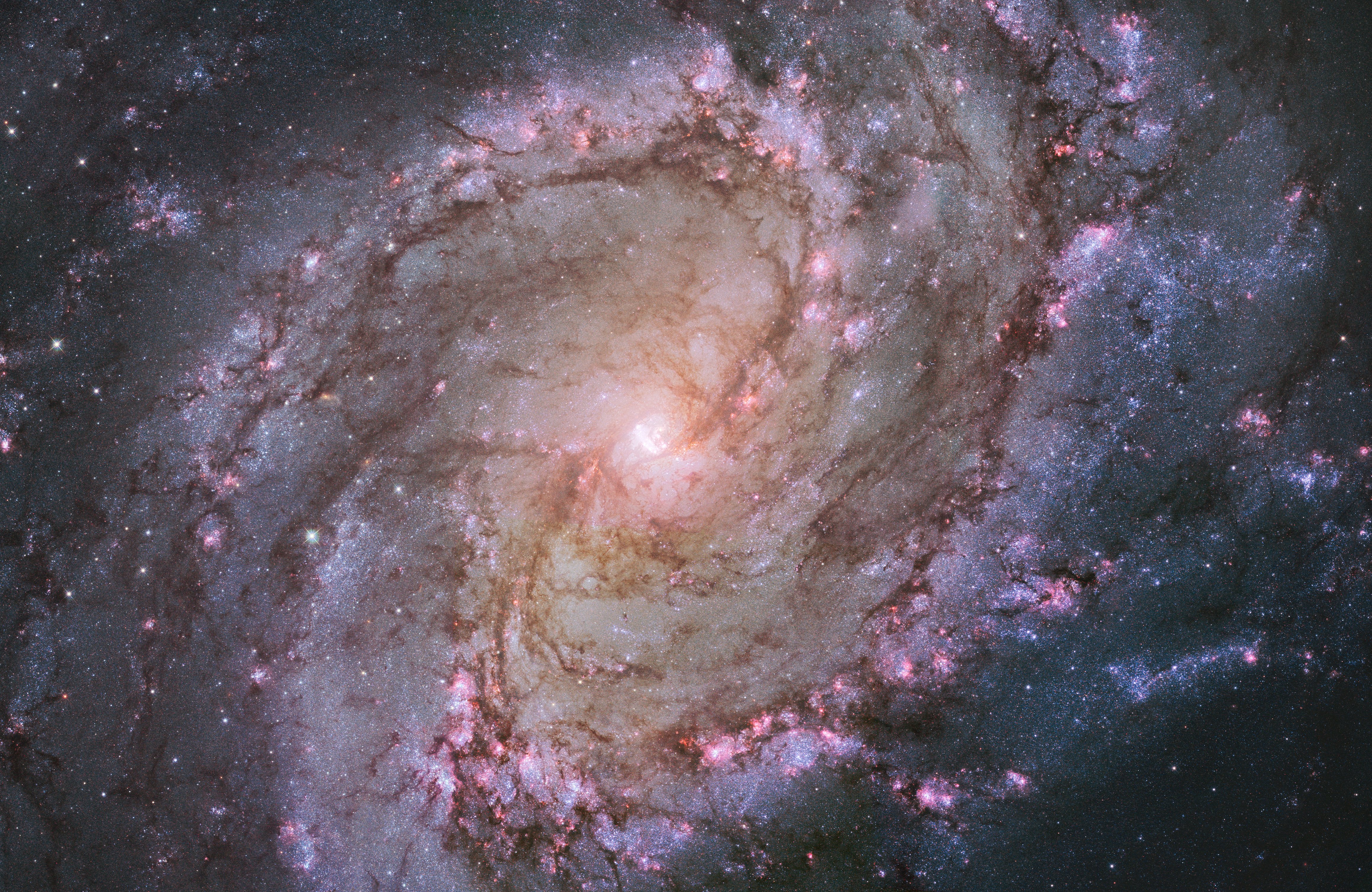 活発に生まれる星々【138億光年 宇宙の旅 写真展から】㊦ - 中国新聞デジタル